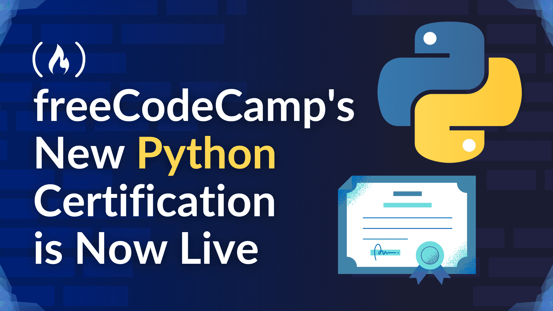 New FreeCodeCamp Python Certification 2026: Is It Worth Taking?